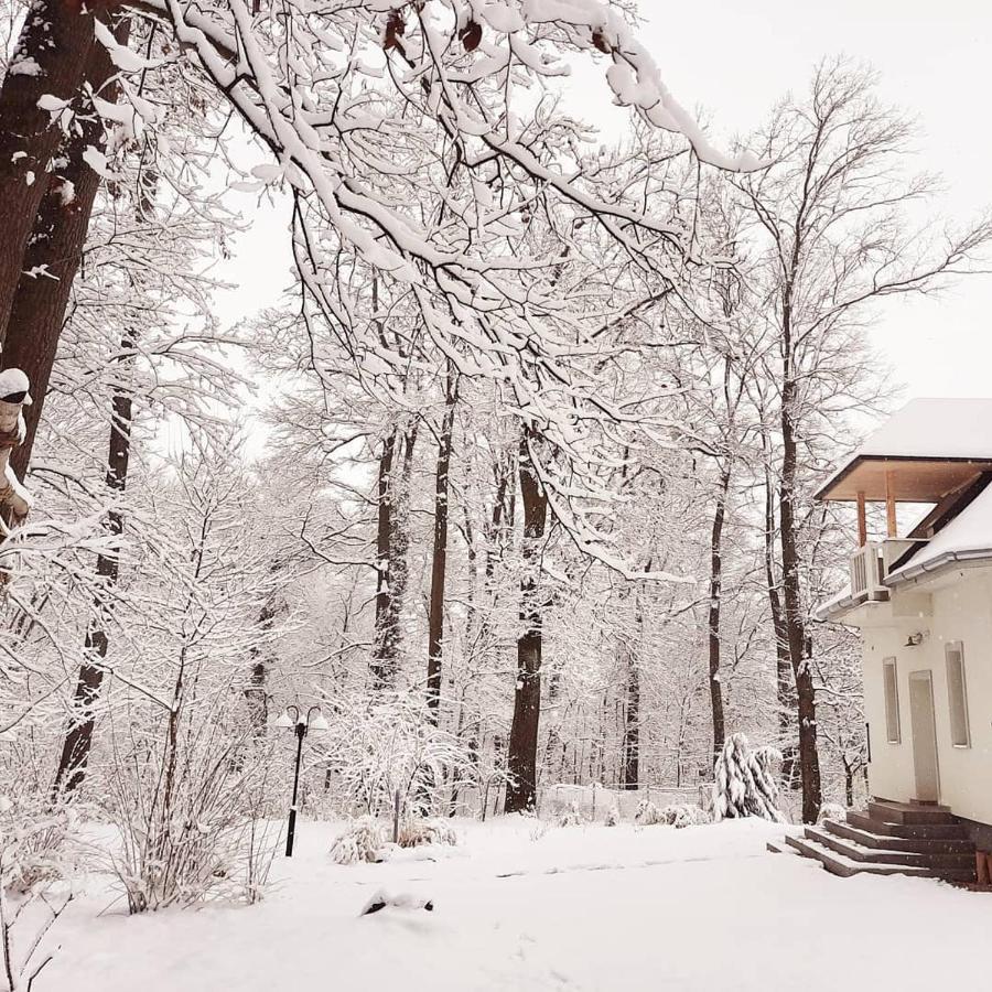 Hotel Magnolia Nagykanizsa Exterior foto